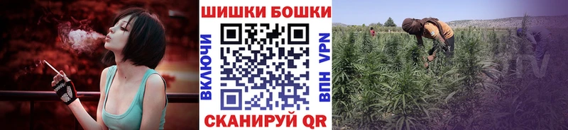 ссылка на мегу маркетплейс  Новое Девяткино  Бошки марихуана тримм  как найти закладки 